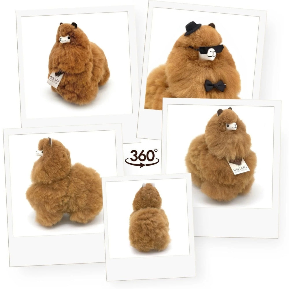 067da8485feb0fad3b9a9fd85bb9df14