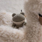 6bd0f346437b5785d7acc4fc8455c55a