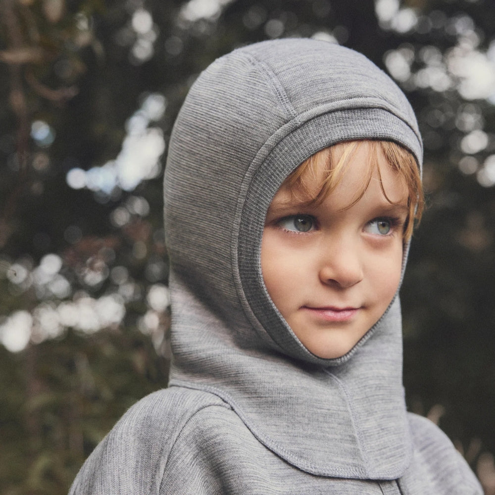 Slaida attēls