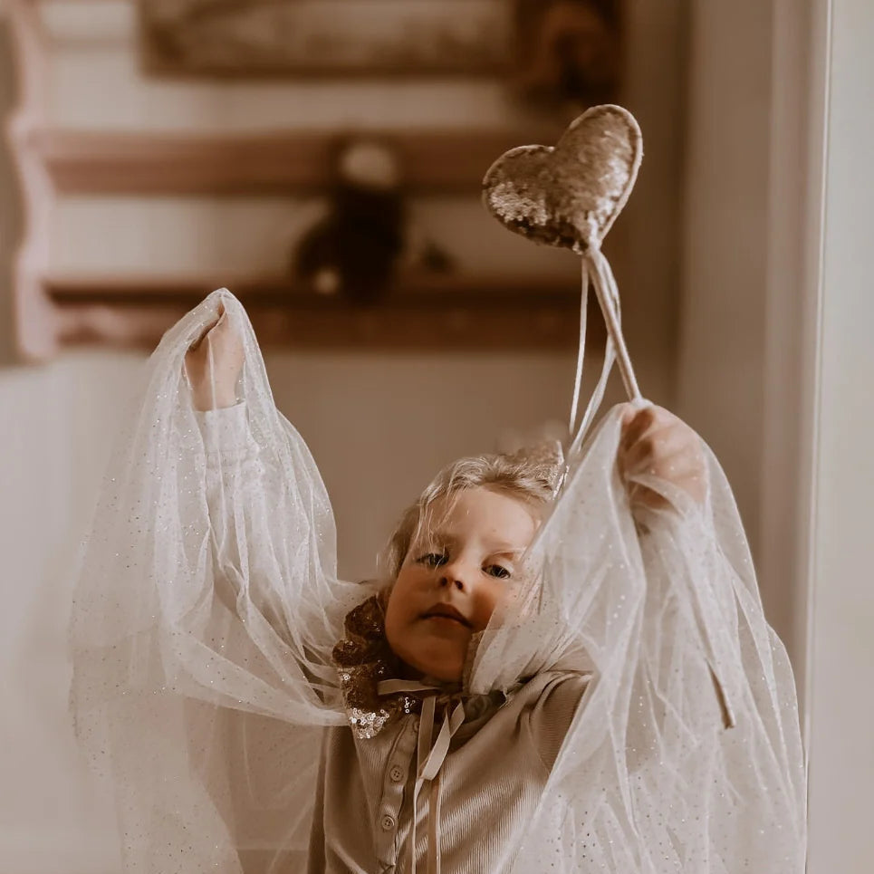 Slaida attēls