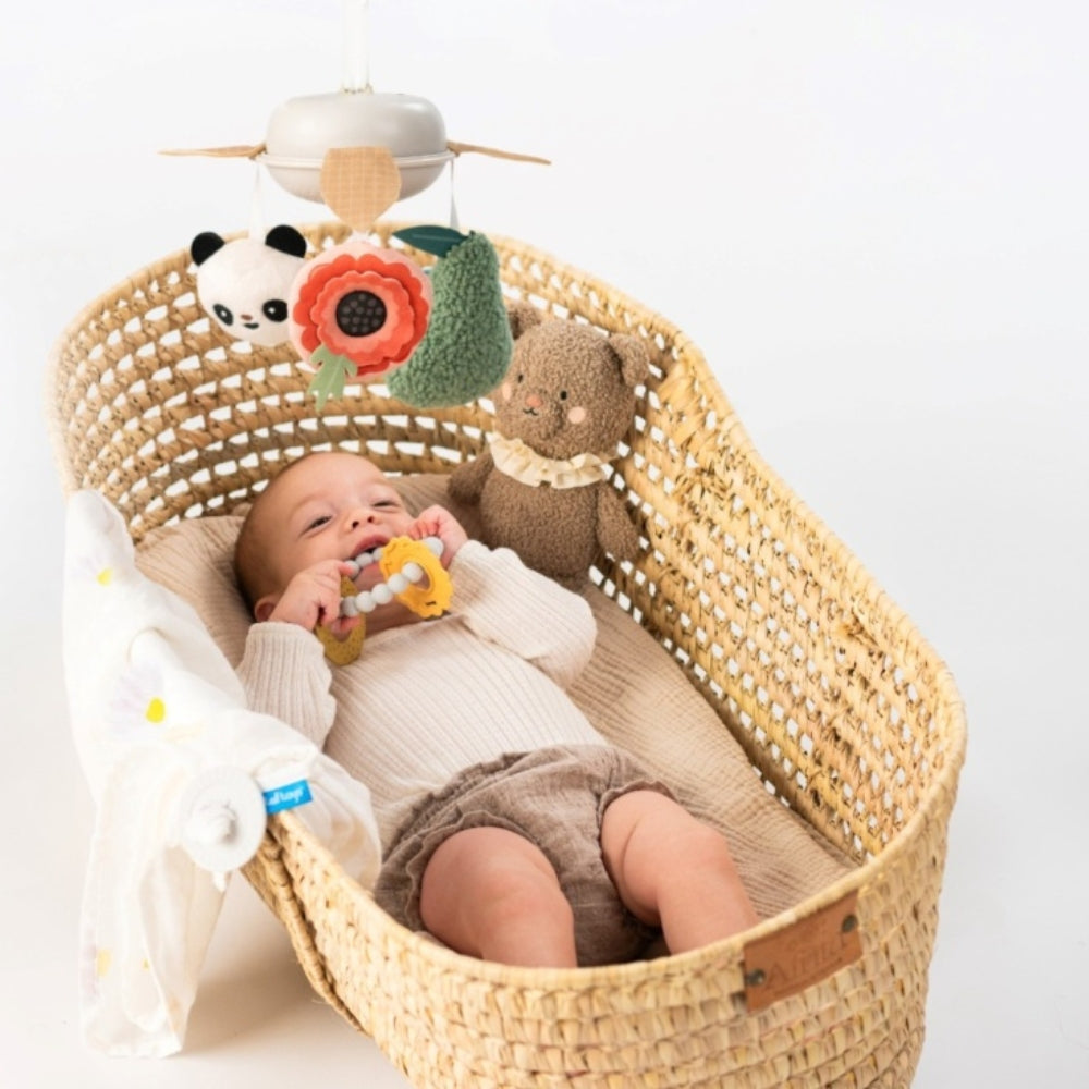 ea9b1720e1a01d3b7368b7d4766fe4ed