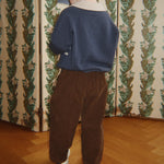 Slaida attēls