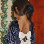 Slaida attēls