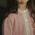 Slaida attēls