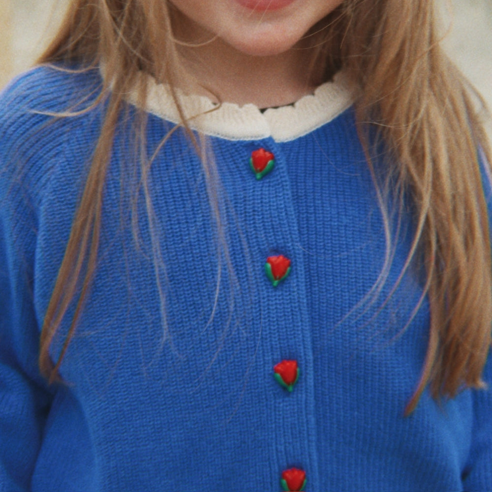 Slaida attēls