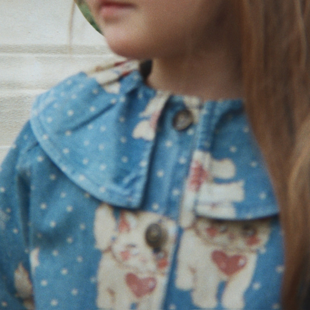 Slaida attēls