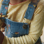 Slaida attēls