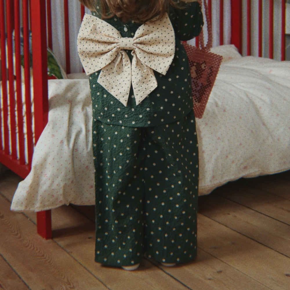 Slaida attēls
