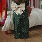 Slaida attēls