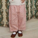 Slaida attēls