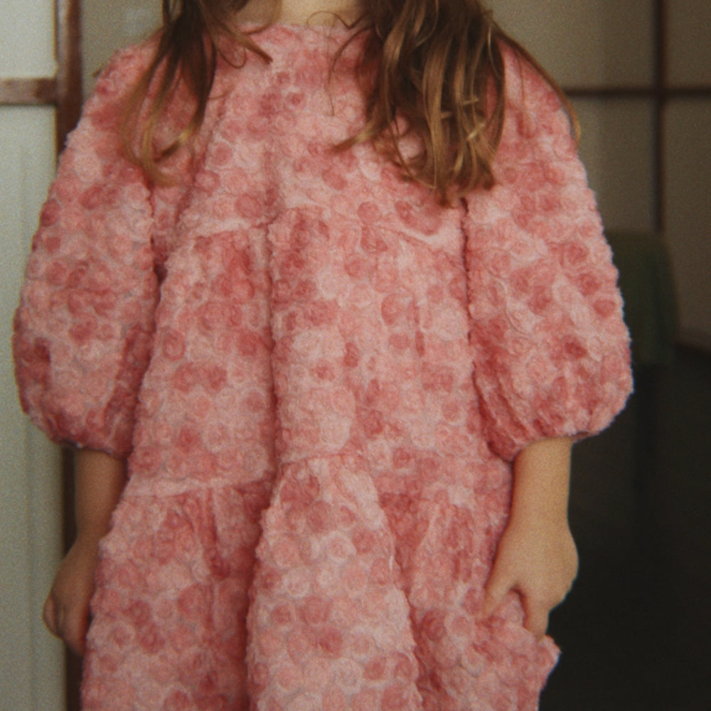 Slaida attēls