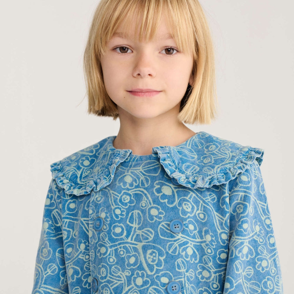 Slaida attēls