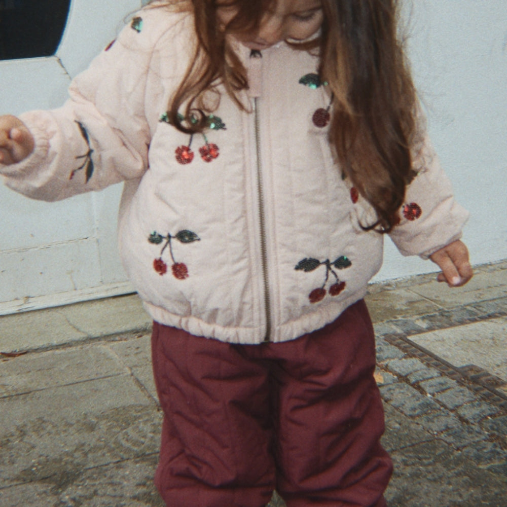 Slaida attēls