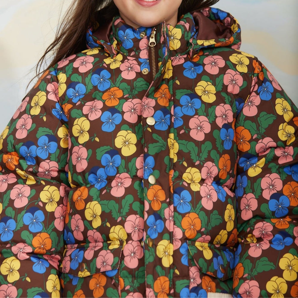 Slaida attēls