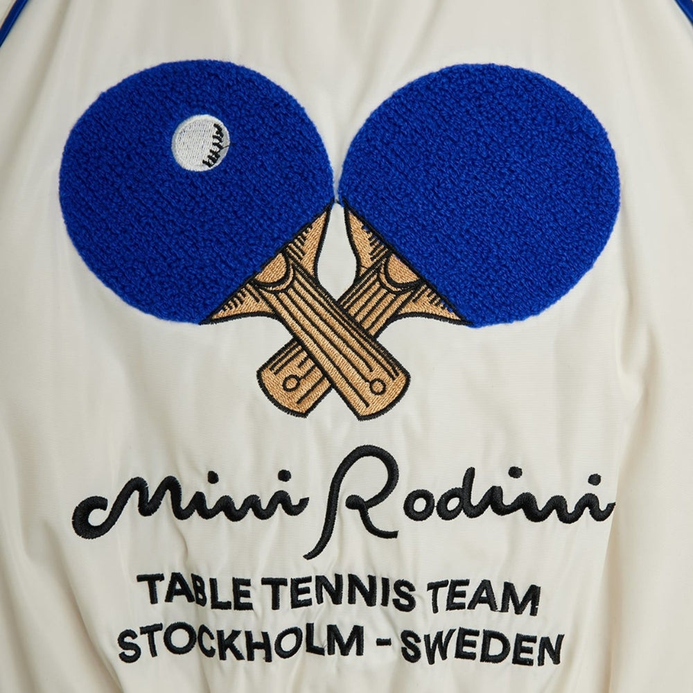 Slaida attēls
