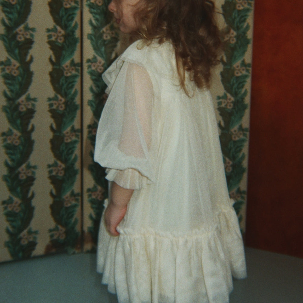 Slaida attēls