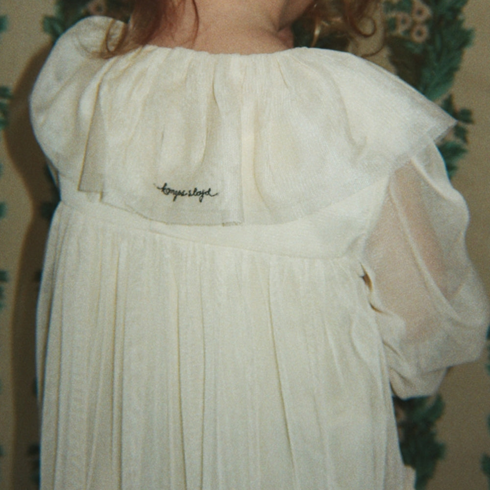 Slaida attēls