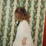 Slaida attēls