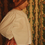 Slaida attēls