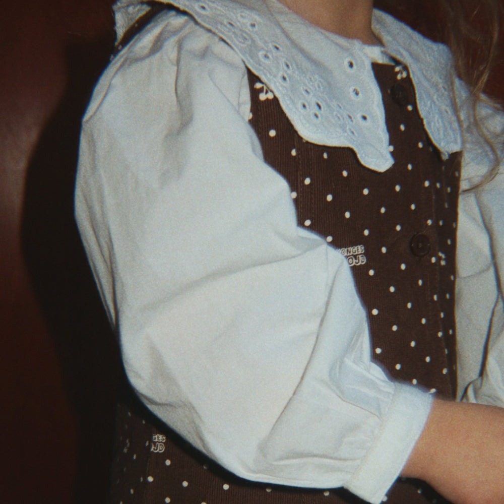 Slaida attēls