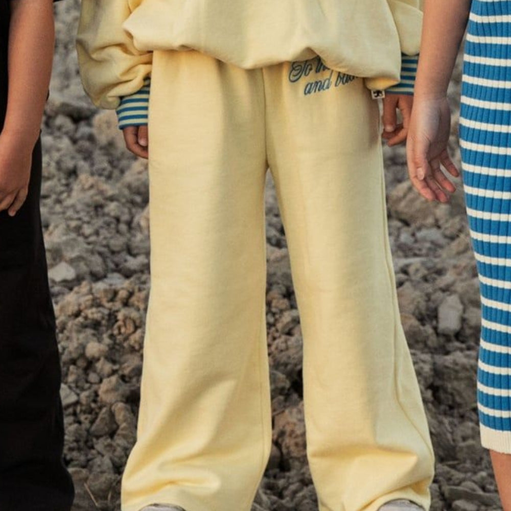 Slaida attēls