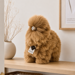 Slaida attēls