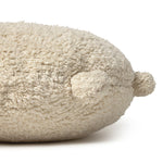 Slaida attēls