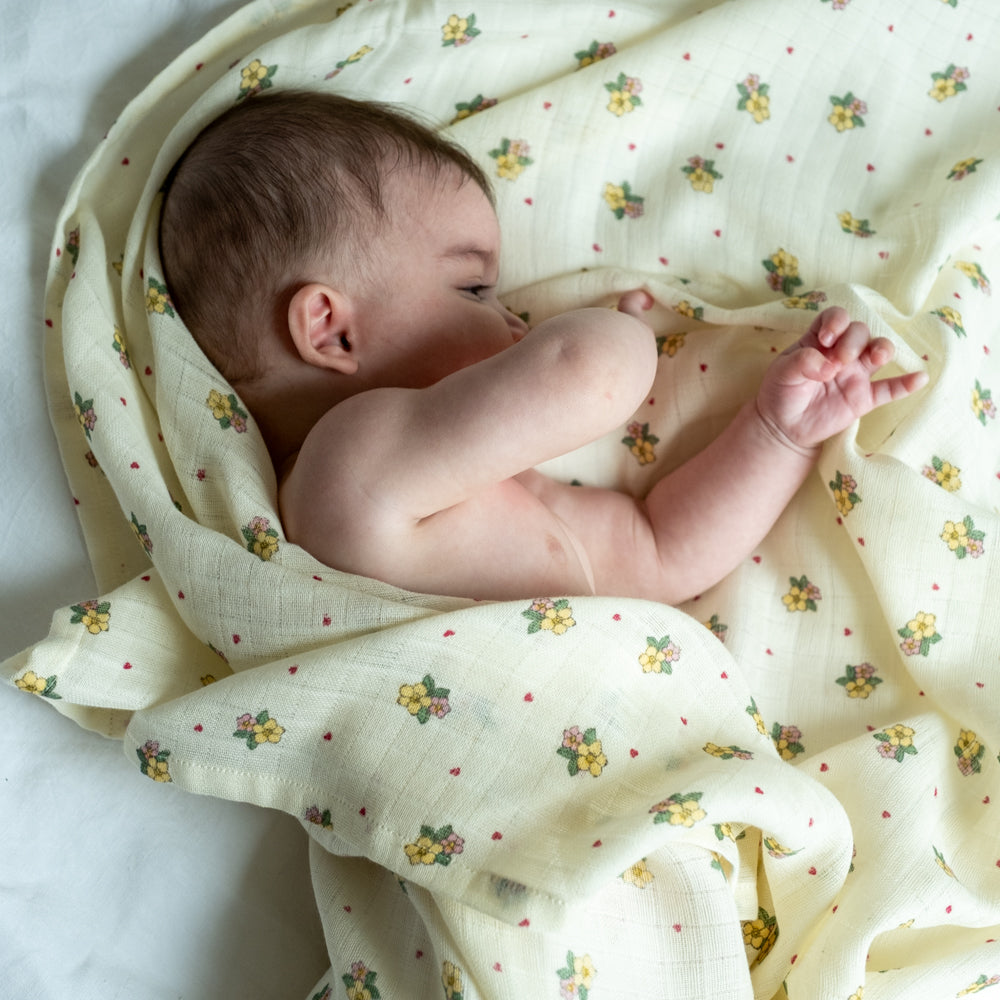 08dafa817718aba84493269a6f354405