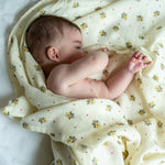 08dafa817718aba84493269a6f354405