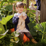 c70f54b568740bbea0f395defe7caa0d