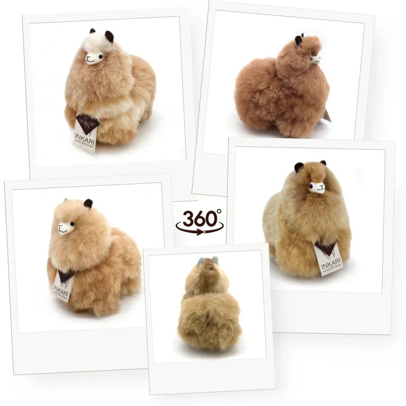 6fd9559c0e5d0b2436a2601e34b9fcd1