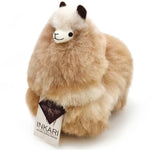 028ed50a3f6cd6c770e49f0f28cded84