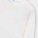 Slaida attēls