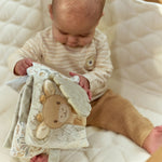 Slaida attēls