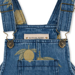 b101ff57db8437fe00b8782338ea8e01