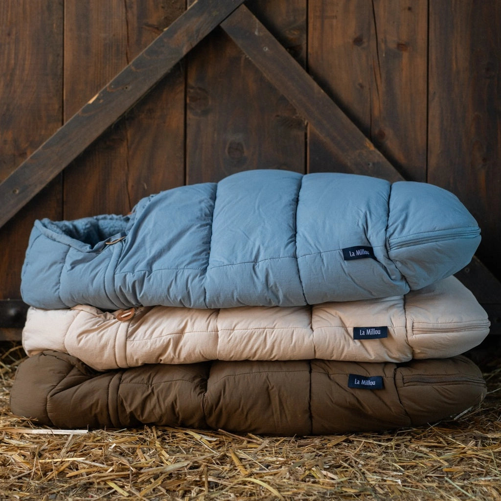 Slaida attēls