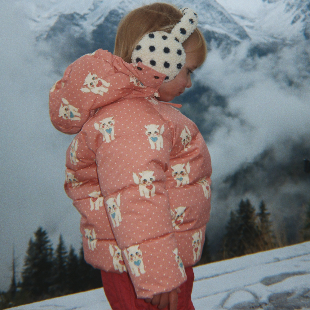 Slaida attēls
