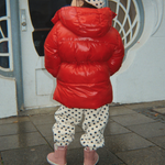 Slaida attēls