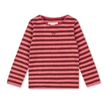 Slaida attēls