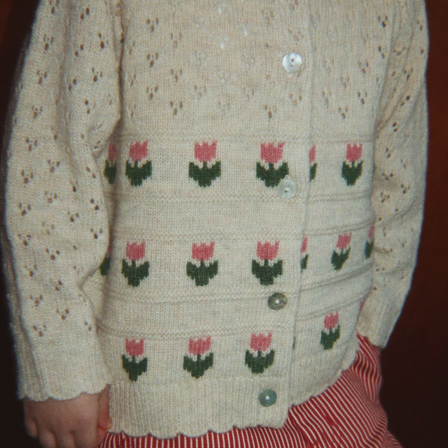 Slaida attēls